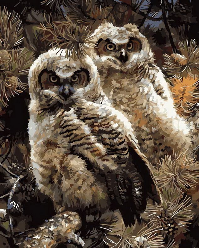 Two Owls paint by numbers kit