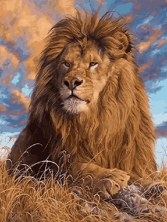 Majestic Lion paint by numbers kit