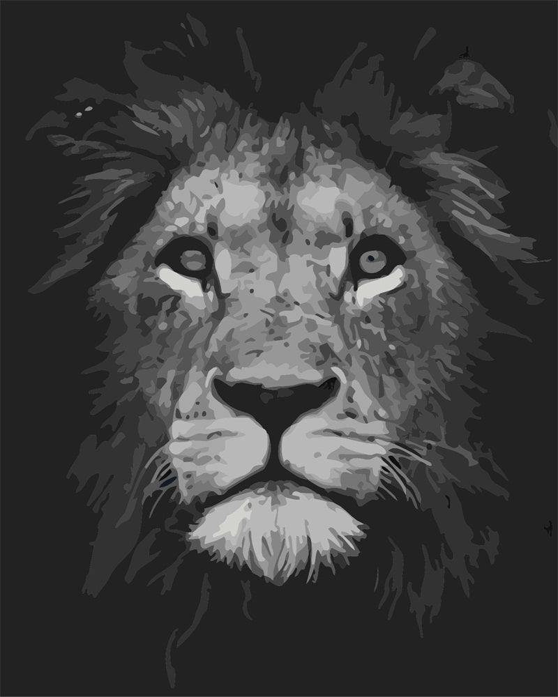 Lion Black and White paint by numbers kit