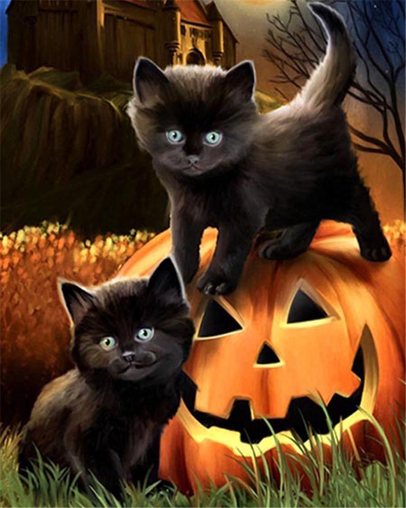 Cats on Pumpkin paint by numbers kit