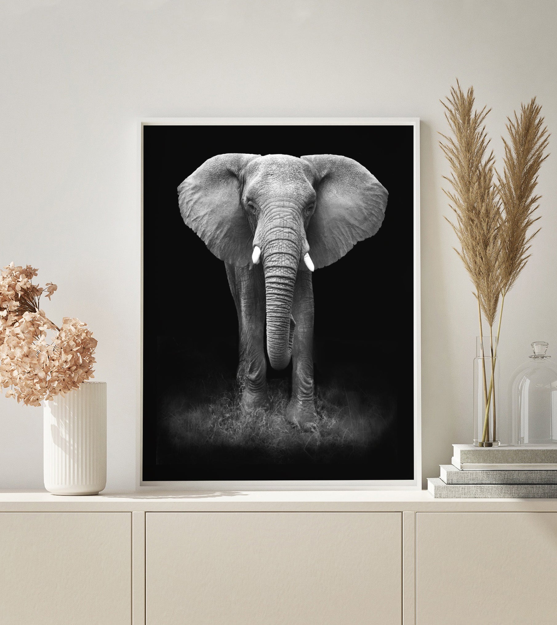 Elephant Black and White paint by numbers kit