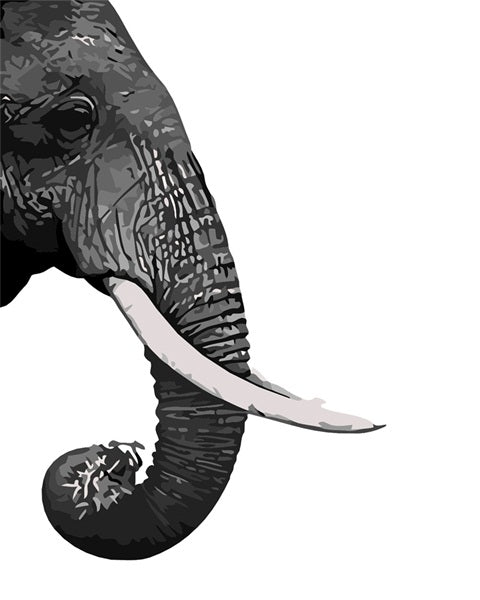 Elephant Profile paint by numbers kit