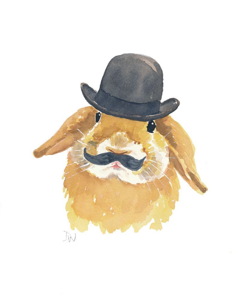 Rabbit with Hat paint by numbers kit