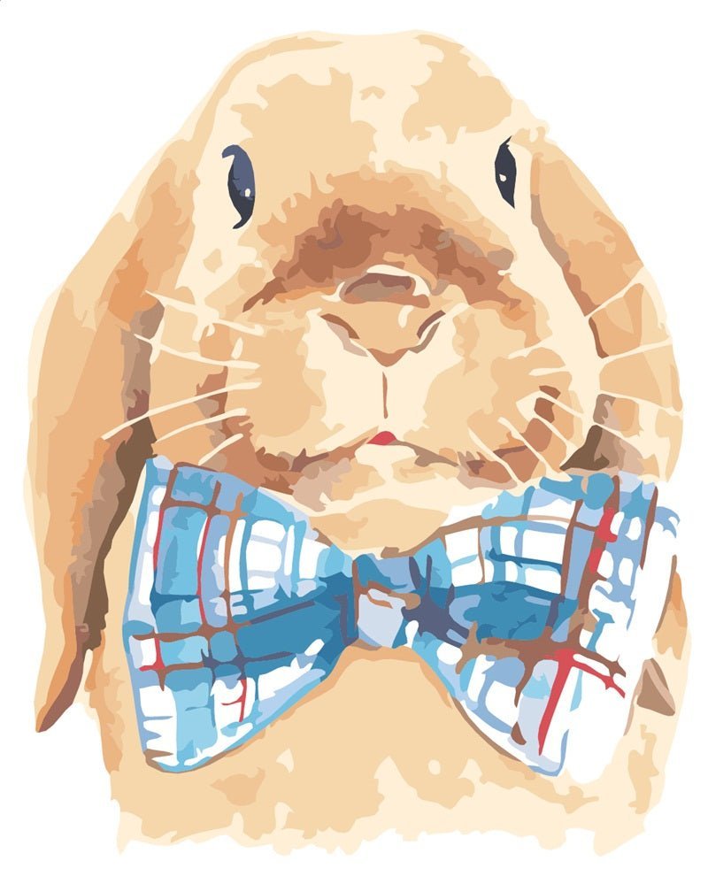 Rabbit with Bow Tie paint by numbers kit