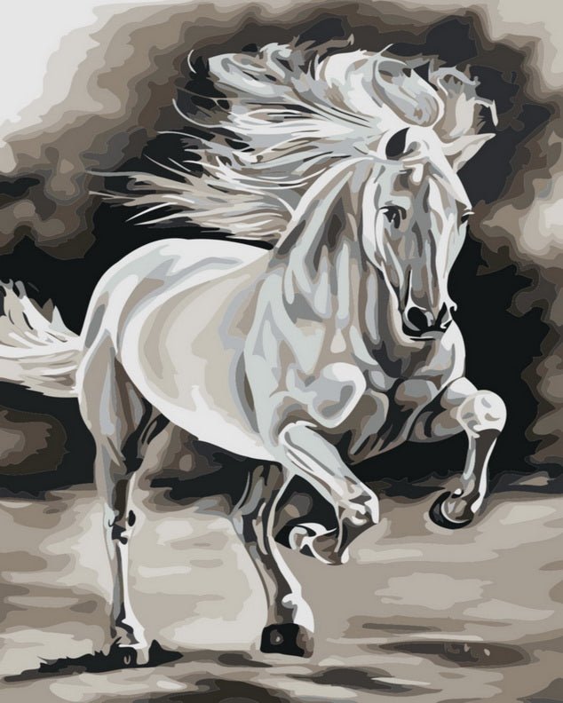 Horse Black and White paint by numbers kit