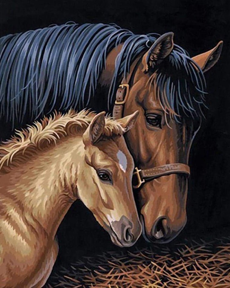 Horse Mother and Child paint by numbers kit
