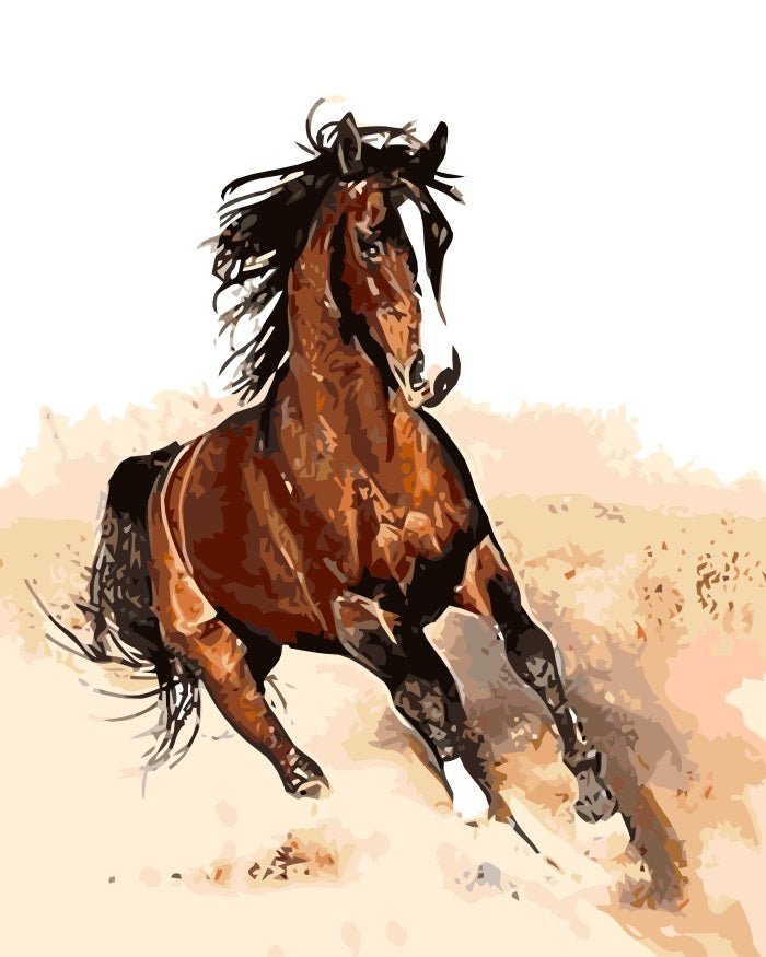 Horse in Sand paint by numbers kit