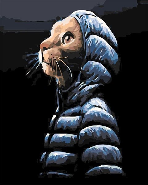 Cat with Winter Jacket paint by numbers kit