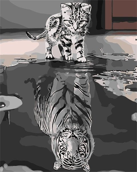 Cat Dream Big paint by numbers kit