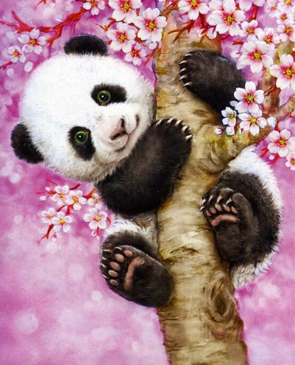 Little Panda paint by numbers kit