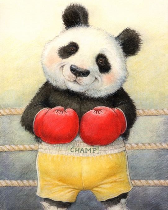 Panda Boxing Champion paint by numbers kit