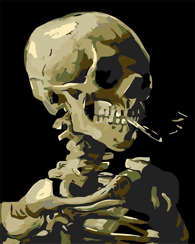 Skull Portrait paint by numbers kit