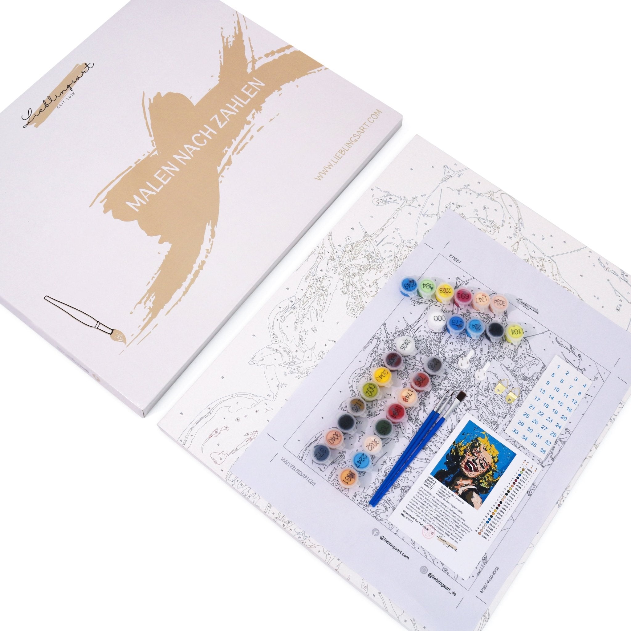 Spring in Japan paint by numbers kit