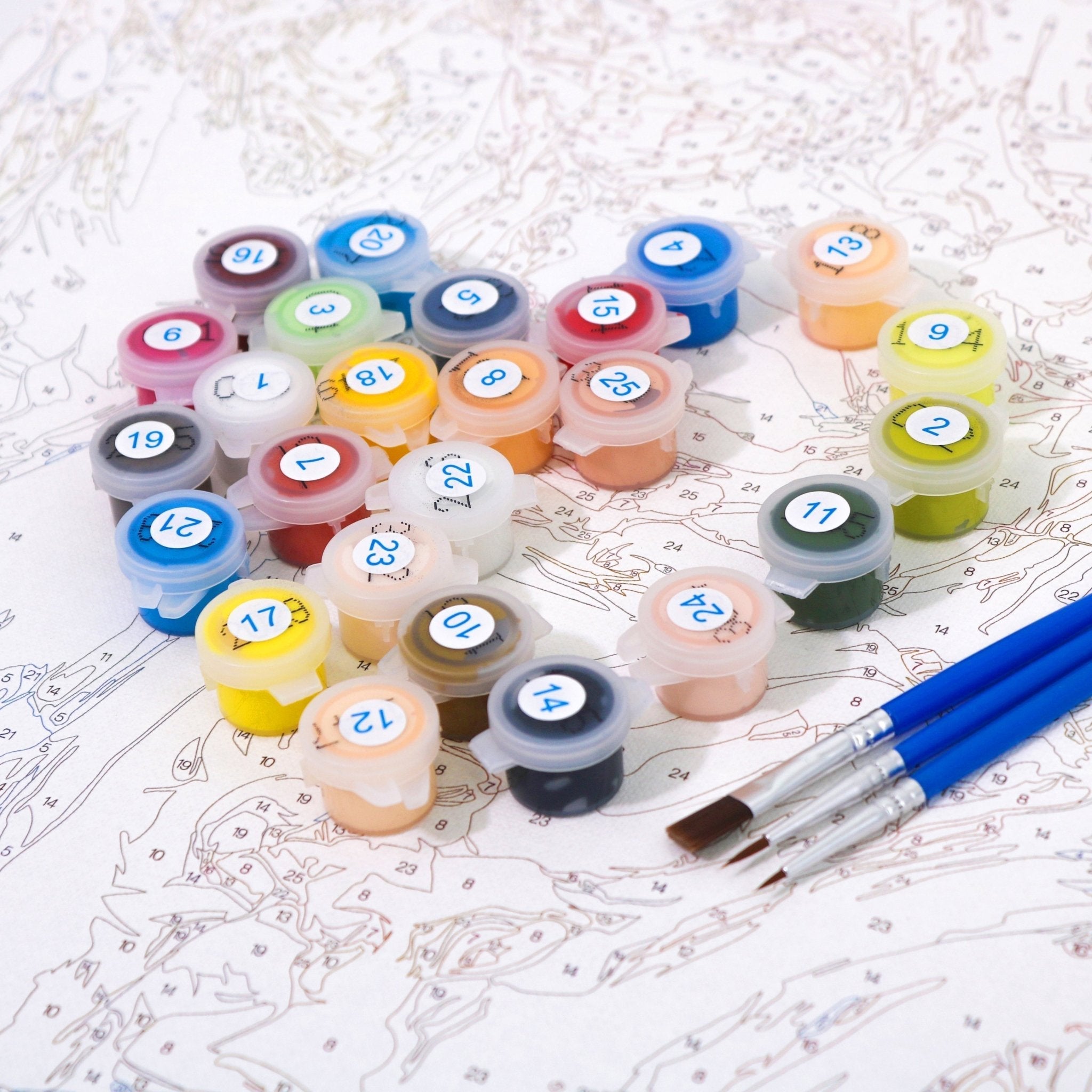 Oranges and Wine paint by numbers kit