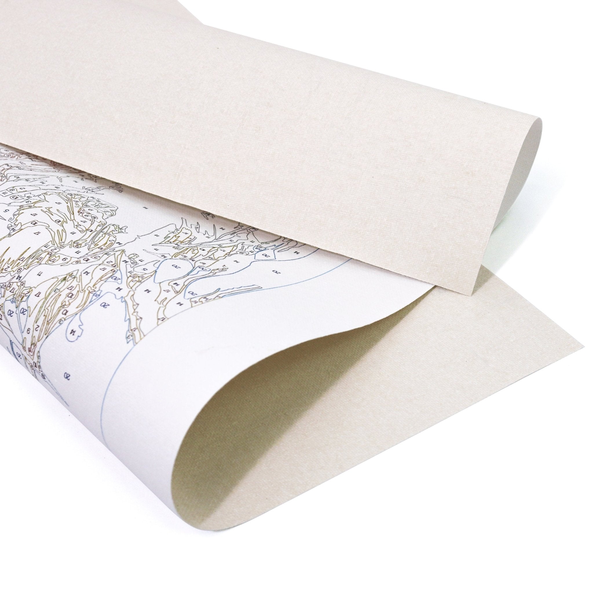 Anime Moonlight Moment paint by numbers kit